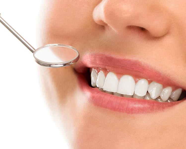 Dentistry at Vickery Creek